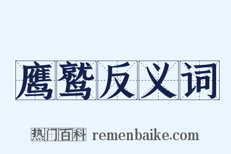 鹰鹫反义词是什么意思的图片